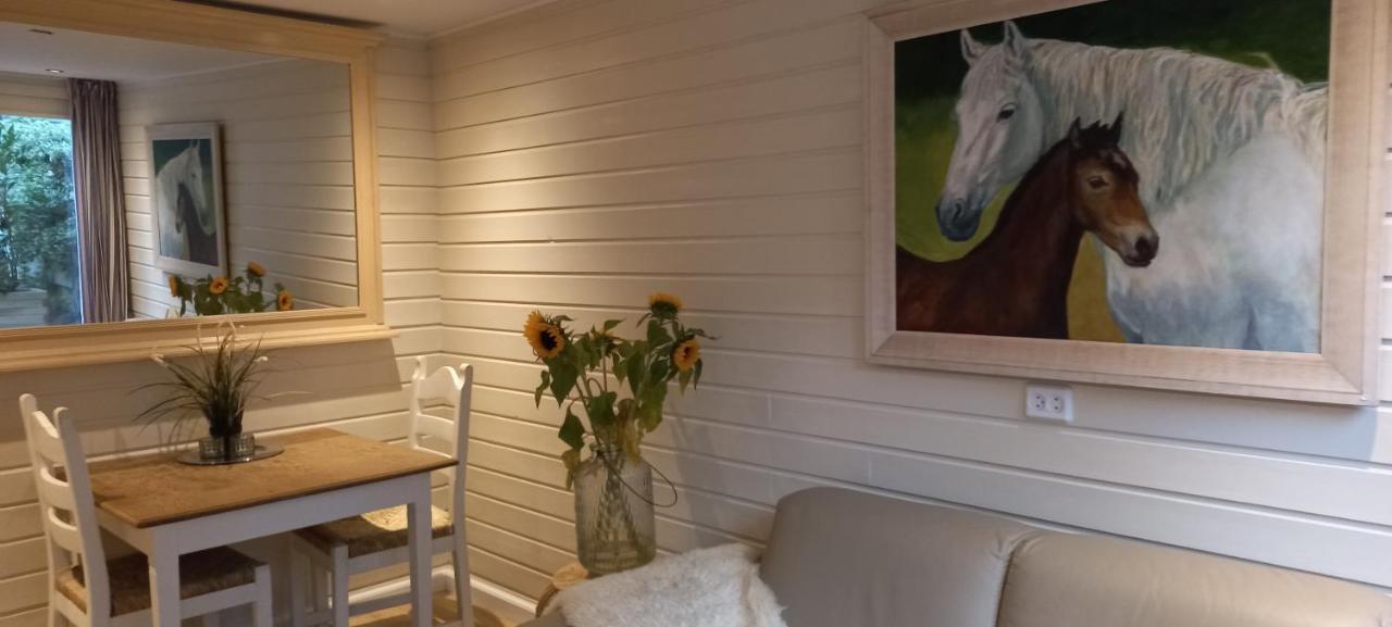 Chalet Le Papillon Zandvoort Exterior photo